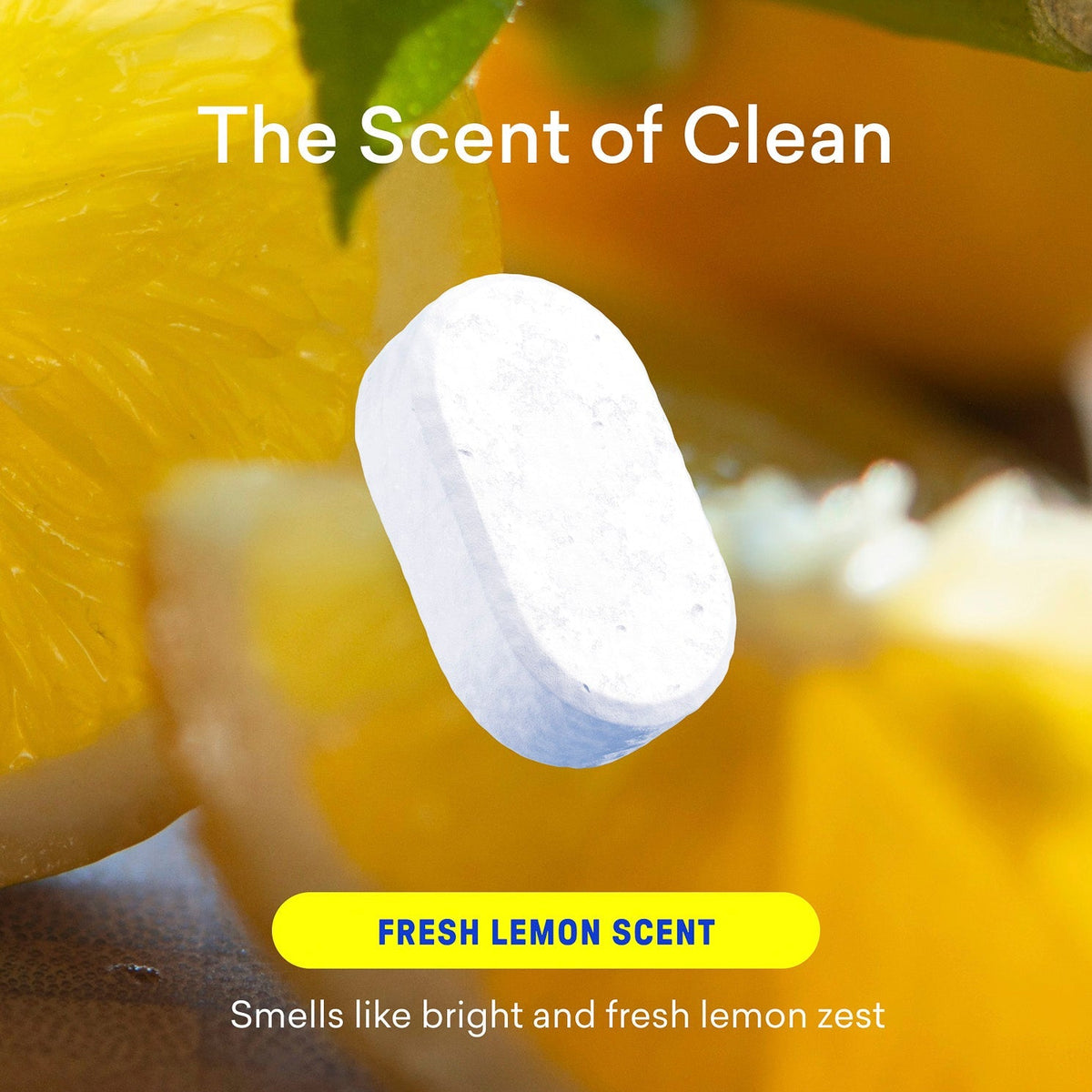 Multi-Surface Cleaner Starter Set