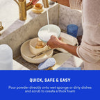 1 Year of Dish Soap Powder